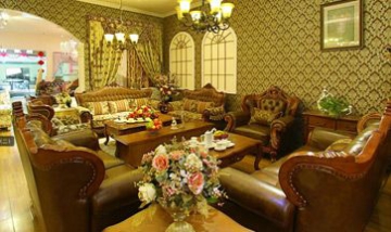 成都歐蒂夢莎家具有限公司全景圖