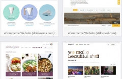 北京星誠視野網絡科技有限公司、北京網站設計