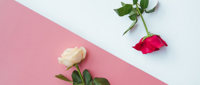 北京網站建設、北京網站建設公司、北京網站制作公司、北京網站制作、北京做網站