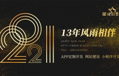 北京做網站、北京做網站公司、高端網站建設、星誠視野、北京網絡公司