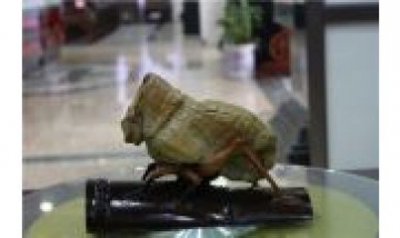 紹興市觀賞石協會雲林會館全景圖