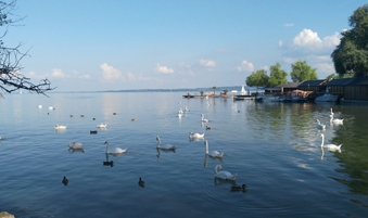 行業網站建設、北京網絡公司　旅游網站建設