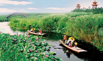 白洋淀文化苑旅游服務(wù)有限公司全...