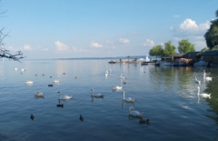 行業網站建設、北京網絡公司　旅游網站建設