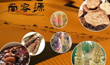 尚容源生物科技有限公司全景圖