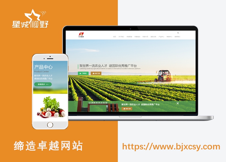 在線畫圖、網(wǎng)頁(yè)設(shè)計(jì)