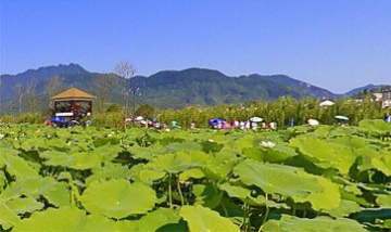 廣元市利州區三堆鎮人民政府全景...