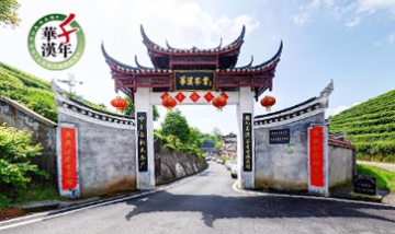 懷化華漢茶業(yè)有限公司全景圖