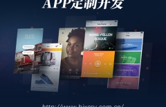 電商APP、app定制開發、APP開發公司 