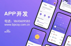 原生APP開發、app、app定制開發、網上商城APP