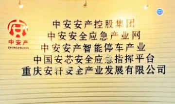 中安安產科技發展有限公司全景圖