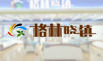 凱能家具廠全景圖