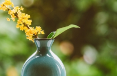 北京網站建設、北京網站建設公司、北京網絡公司