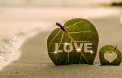 北京做網站公司、高端網站建設、高端品牌網站建設、北京網絡公司