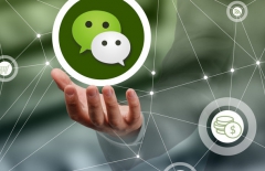 微信小程序開發、手機微信網站建設、手機網站、手機應用開發