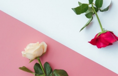 北京網站建設、北京網站建設公司、北京網站制作公司、北京網站制作、北京做網站