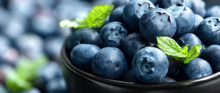 北京網站建設、北京網站建設公司、北京網站制作公司、北京專業網站建設公司、星誠視野、北京專業網站建設、北京網站建設公司、北京星誠視野網絡科技有限公司