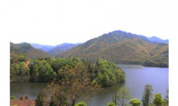 新昌縣巧英鄉人民政府全景圖