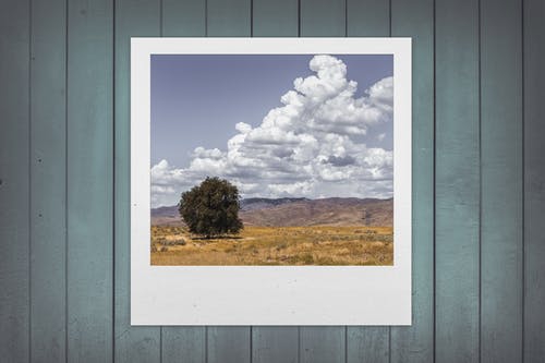 北京做網站、高端品牌網站建設、北京網頁設計公司、北京高端網站建設、教育類網站建設