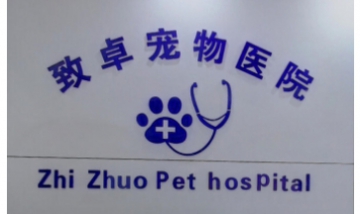致卓寵物醫院全景圖