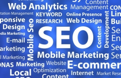 高端網站建設、高端品牌網站建設、星誠視野、網站建設費用