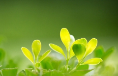 北京網站建設、北京網站建設公司、北京網站制作公司、北京網站制作、北京做網站