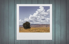 北京做網站、高端品牌網站建設、北京網頁設計公司、北京高端網站建設、教育類網站建設