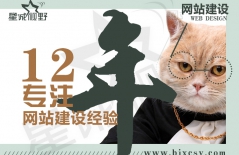 北京網(wǎng)站制作公司、北京做網(wǎng)站、營銷型網(wǎng)站建設(shè)、北京網(wǎng)絡(luò)公司