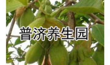 普濟養生園全景圖