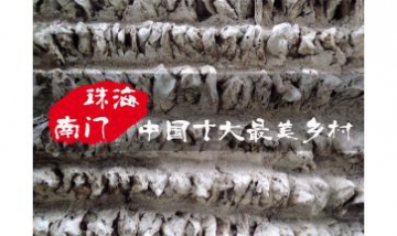 珠海市斗門區南門村全景圖