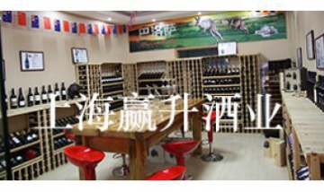 上海贏升實業有限公司全景圖