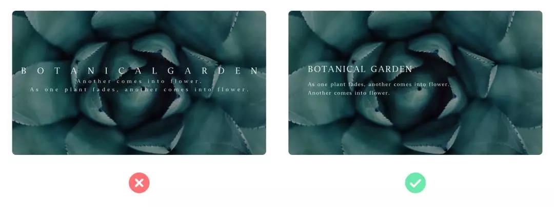 網站建設圖文排版基礎解決方案